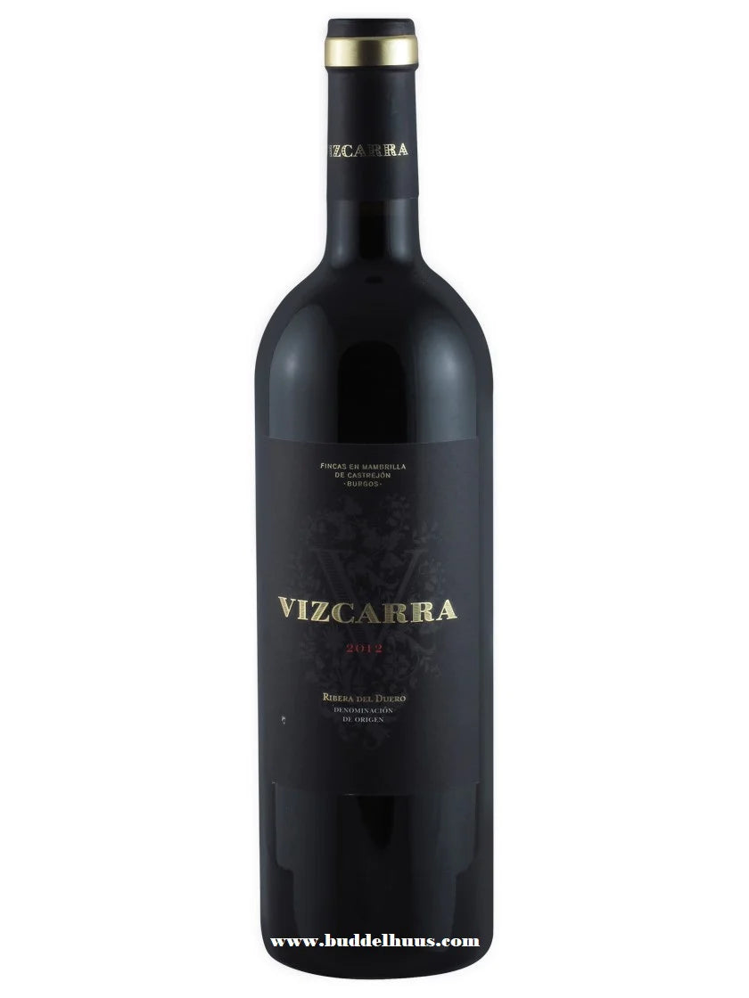 Vizcarra 15meses (2019)